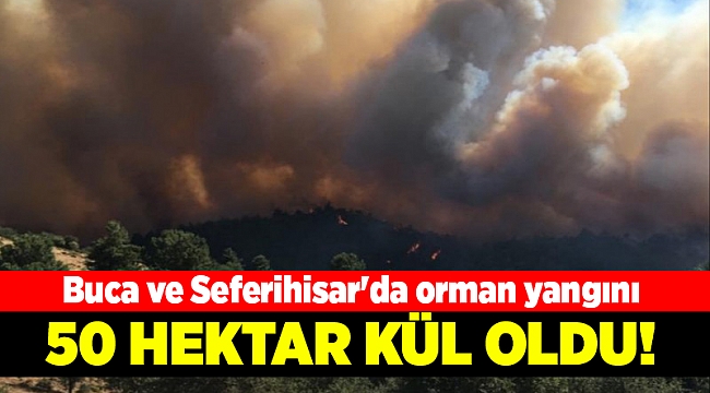 Buca ve Seferihisar'da orman yangını