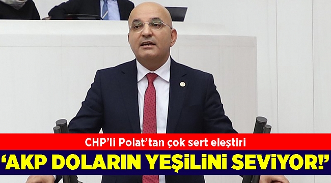 CHP'li Polat'tan çok sert eleştiri: AKP doların yeşilini seviyor!