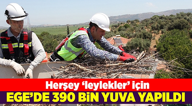 Ege'de leylekler için bin 390 yuva yapıldı