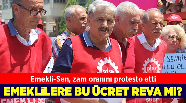 Emekli-Sen, zam oranını protesto etti
