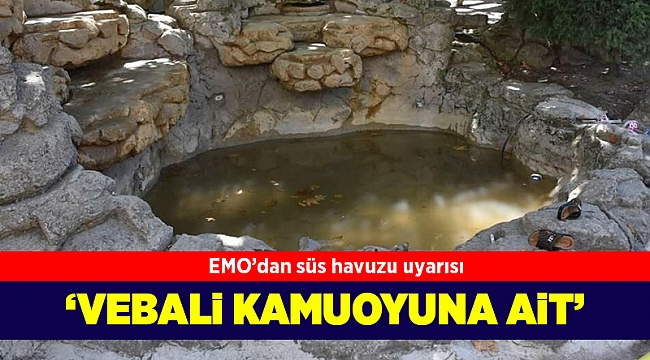 EMO'dan kamu kurumlarına 'süs havuzu' uyarısı