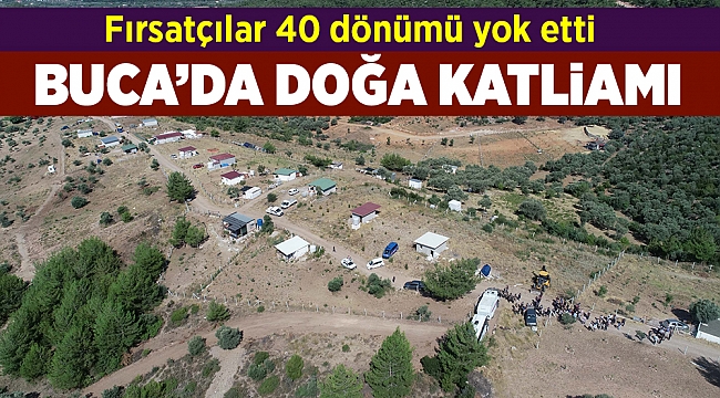 Fırsatçılar 40 dönümü yok etti