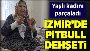 İzmir'de pitbull dehşeti
