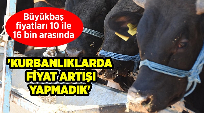 İzmir&#039;in kurbanlıkları geldi