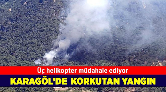 Karagöl'de korkutan yangın!