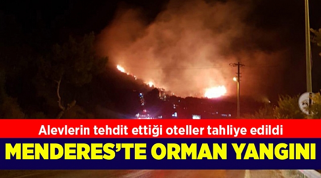 Menderes'te orman yangını; Alevlerin tehdit ettiği oteller tahliye edildi