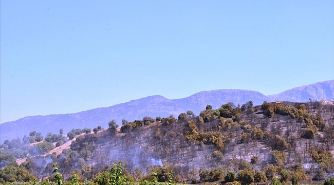Ödemiş'te 1 hektar makilik yandı