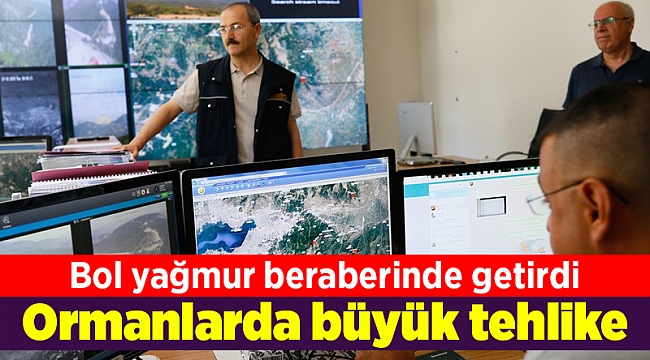 Ormanlarda büyük tehlike