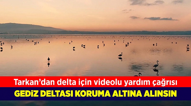 Tarkan, Gediz Deltası için destek istedi