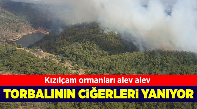 Torbalı'da orman yangını