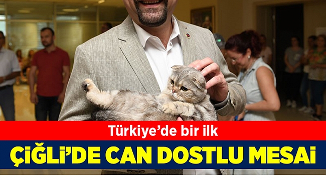 Türkiye&#039;de bir ilk! Çiğli&#039;de can dostlu mesai