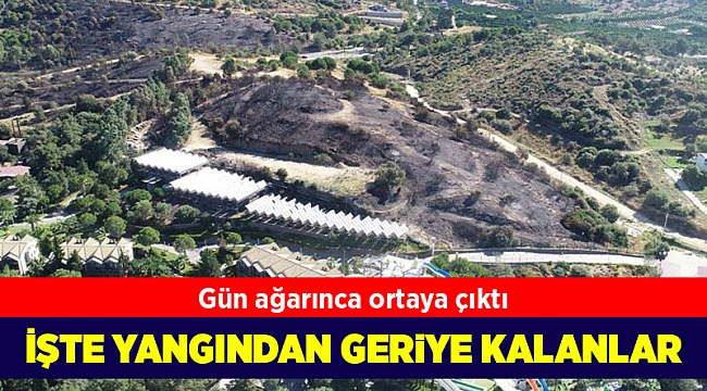 Yeşilden geriye bu kaldı