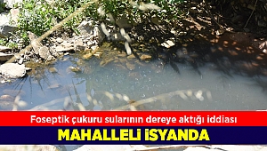 Yeşilköy'de foseptik çukuru sularının dereye aktığı iddia edildi