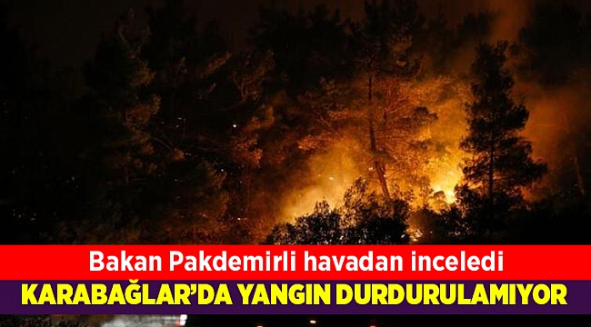 Bakan Pakdemirli, İzmir'deki orman yangını bölgesini havadan inceledi