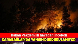 Bakan Pakdemirli, İzmir'deki orman yangını bölgesini havadan inceledi