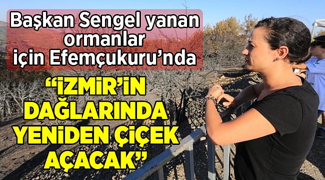Başkan Sengel yanan ormanlar için Efemçukuru’nda