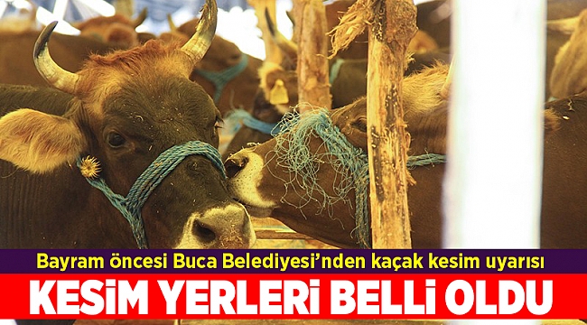 Bayram öncesi Buca Belediyesi’nden kaçak kesim uyarısı
