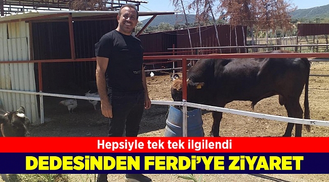 Haluk Levent, Ferdinand'ın yavrusunu ziyaret etti