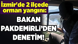 İzmir'de 2 ilçede orman yangını: Bakan'dan denetim!