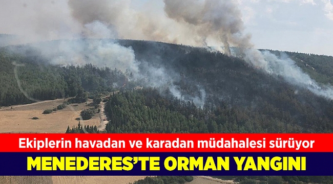 İzmir'de ağaçlandırma sahasında yangın