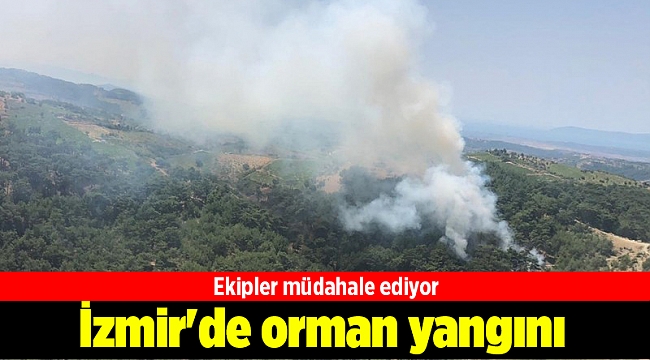 İzmir&#039;de orman yangını