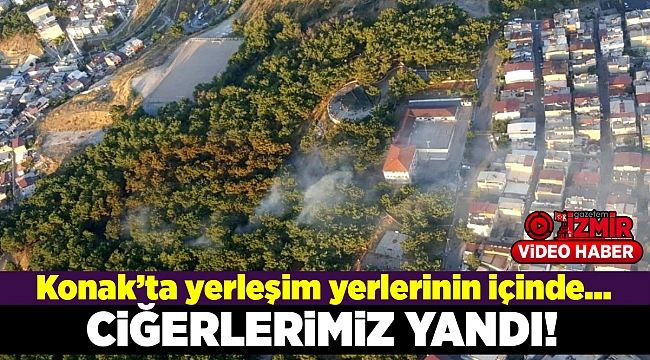 İzmir'de yerleşim yerlerinin içinde orman yangını