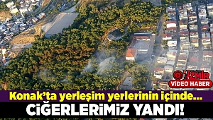 İzmir'de yerleşim yerlerinin içinde orman yangını