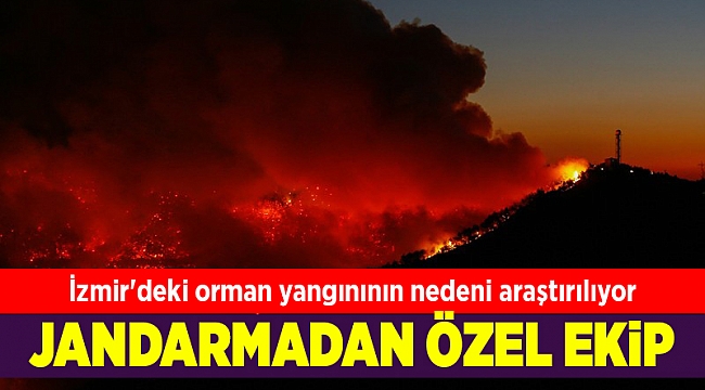 İzmir'deki orman yangınının nedeni araştırılıyor