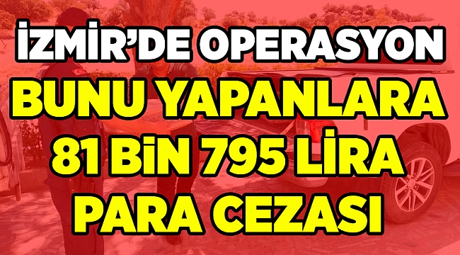 İzmir'in Dikili ilçesinde yabani saka kuşu avcılığı yapanlara ceza yağdı