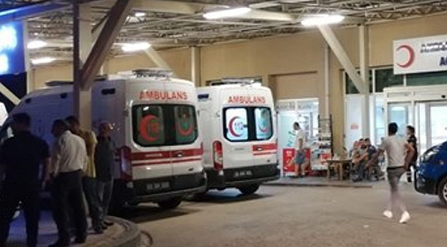 Köpeklerin dövüşmesi nedeniyle kavga çıktı: 2 ölü