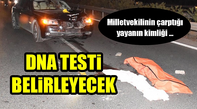 Milletvekilinin çarptığı yayanın kimliği DNA testiyle belirlenecek