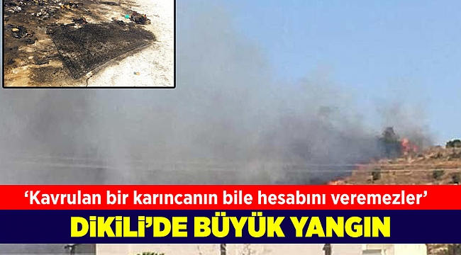 Üç kuruşluk yay uğruna makilik yaktılar
