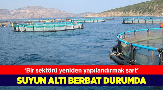 Ünlü denizciden korkutan kirlilik çıkışı: Körfez için hiçbir umut kalmayacak