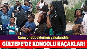 25 kaçak göçmen yakalandı: Kongo'dan İzmir'e...