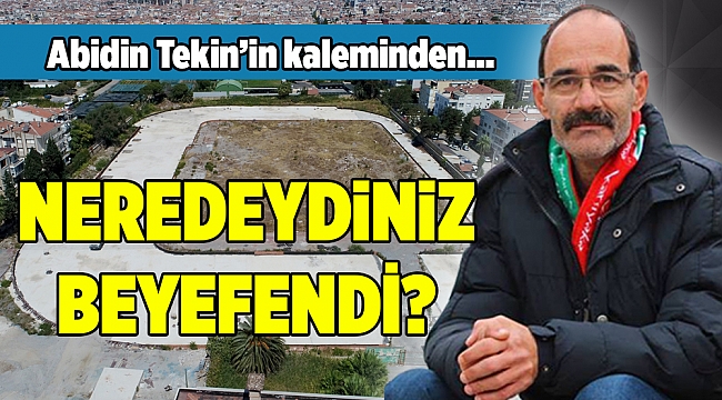 Abidin Tekin yazdı