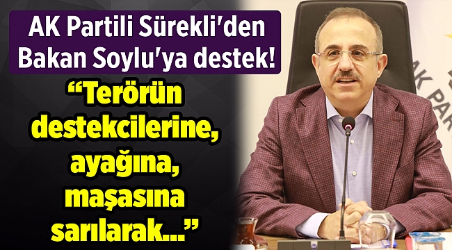 AK Partili Sürekli'den Bakan Soylu'ya destek!