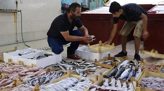 Av yasağı bitti, Foça'da balık bollaştı