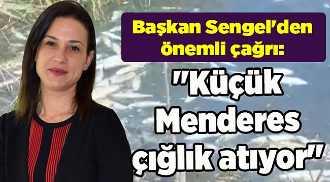 Başkan Sengel'den önemli çağrı: "Küçük Menderes çığlık atıyor"