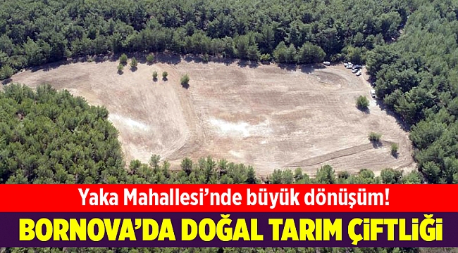 Bornova Belediyesi Yaka Mahallesi’nde Doğal Tarım Çiftliği kuruyor