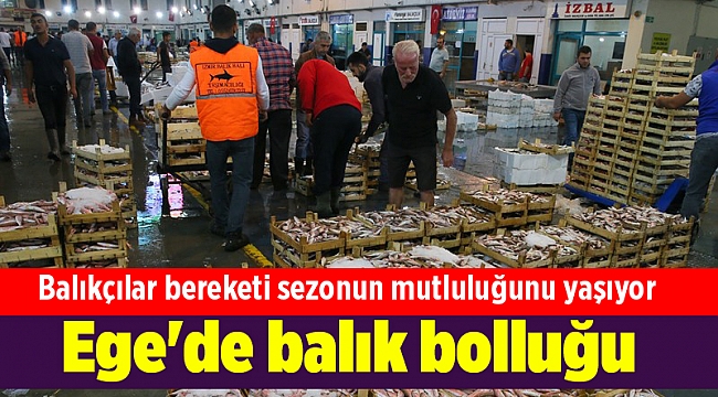 Ege'de balık bereketi