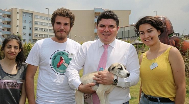 FestPati Buca ile hayvan haklarına dikkat çekilecek