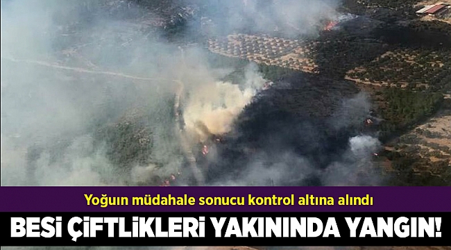 Foça'da besi çiftlikleri yakınında yangın