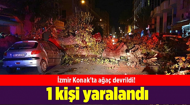 İzmir Konak'ta ağaç devrildi! 1 kişi yaralandı