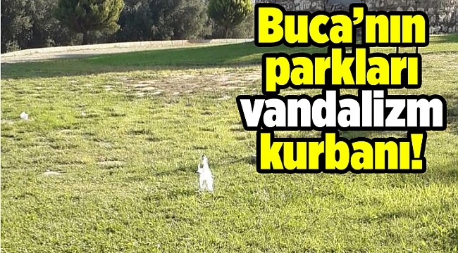 Vandallar Bucalıların parasını gasp etmeye devam ediyor!