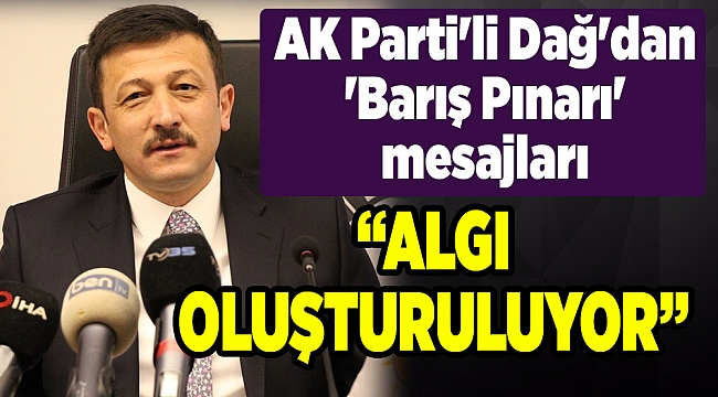 AK Parti'li Dağ'dan 'Barış Pınarı' mesajları