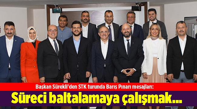 Başkan Sürekli'den STK turunda Barış Pınarı mesajları: Süreci baltalamaya çalışmak…