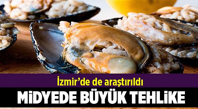 Büyük tehlike! Yüzde 91'inde...