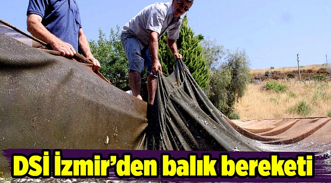 DSİ İzmir’den balık bereketi