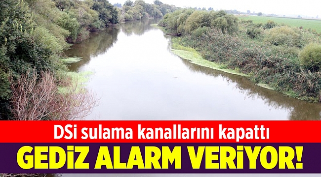 Gediz'de balık ölümleri bir aydır devam ediyor!