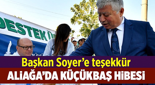 İzmir Büyükşehir Aliağalı üreticilere küçükbaş hayvan hibe etti